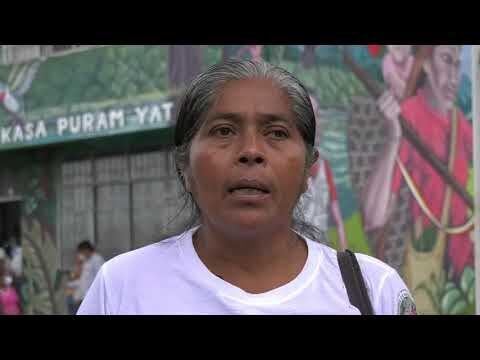 Medicina tradicional en Bogot&aacute;: Saberes ancestrales para la salud