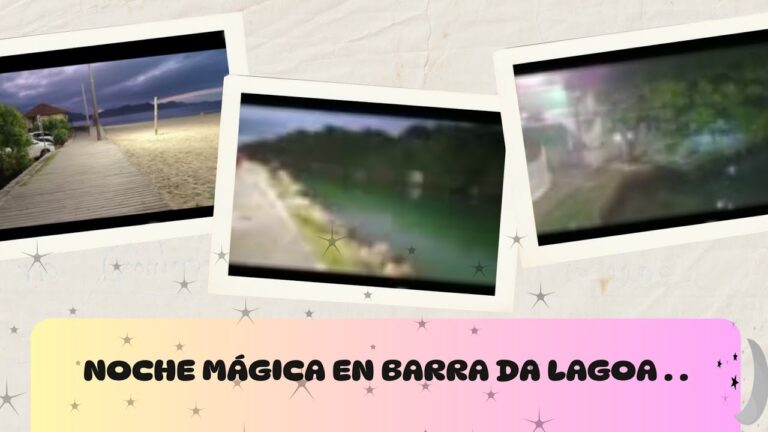 Explorando la vida nocturna: Una gu&iacute;a completa