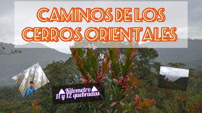 Senderismo entre quebradas: una aventura natural