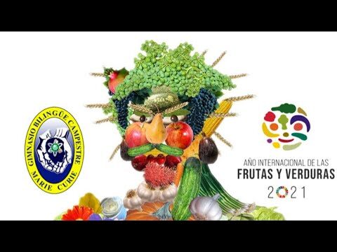 Gu&iacute;a de Alimentaci&oacute;n Balanceada para Estudiantes en Bogot&aacute;