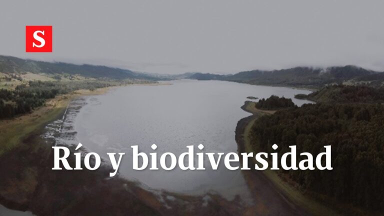 La riqueza de la biodiversidad en los r&iacute;os de Bogot&aacute;