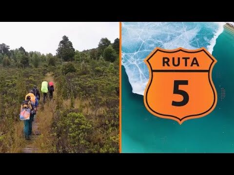 Explora las Mejores Rutas de Caminata en Parques Naturales