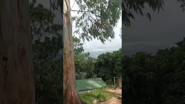 Explorando la naturaleza urbana