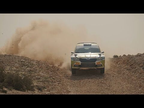 Equipamiento para Deportes Extremos: Gu&iacute;a Esencial