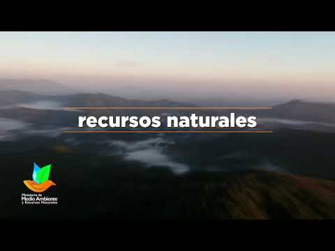 La Importancia de la Preservaci&oacute;n Ambiental