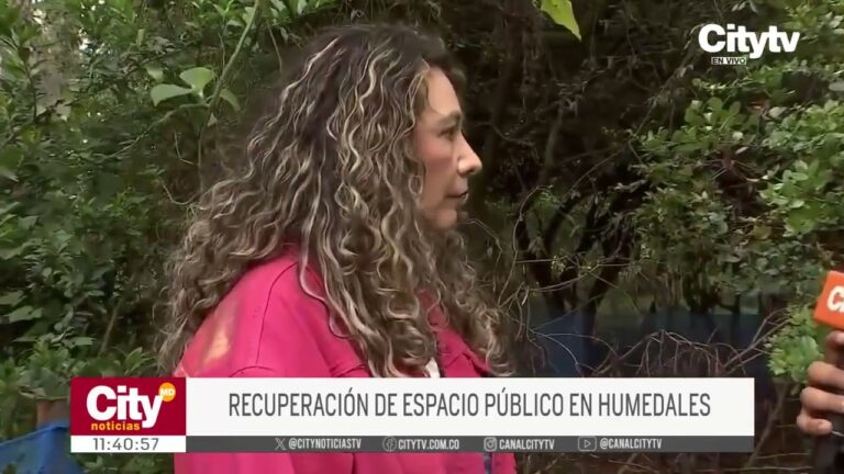 Transformación de espacios públicos en Bogotá: Una visión optimizada
