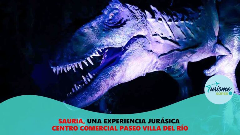 Arte y Entretenimiento en los Centros Comerciales de Bogotá