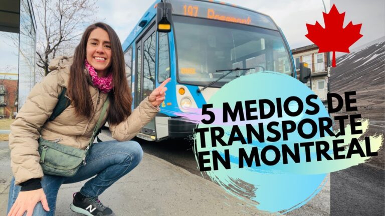 Gu&iacute;a para llegar a los paraderos de autob&uacute;s