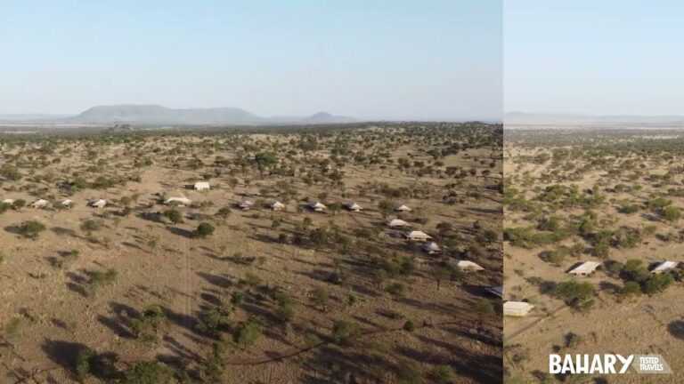 Comodidad y privacidad: la clave en el alojamiento