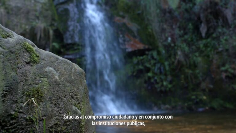 Explorando las Quebradas de Bogot&aacute;