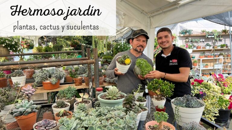 Cactus y Suculentas: Descubre las Mejores Tiendas en Bogotá