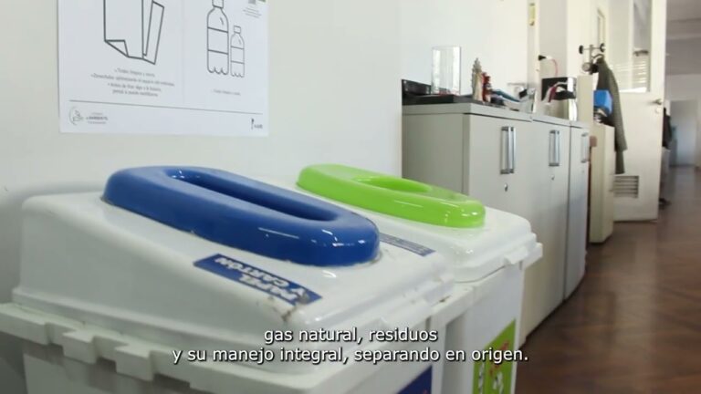 Sostenibilidad en Edificios Escolares: Claves para un Futuro Verde