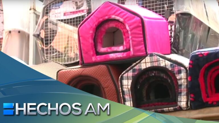 Gu&iacute;a para Comprar Accesorios para Mascotas en la Capital