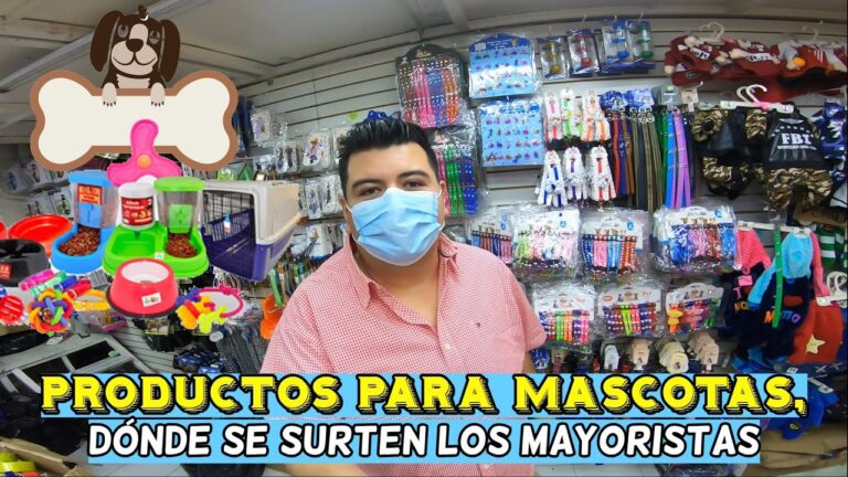 Guía de Productos para Mascotas en la Ciudad