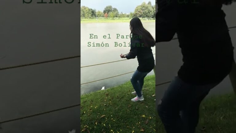 Delicias Culinarias: Gastronom&iacute;a Cerca del Parque Sim&oacute;n Bol&iacute;var