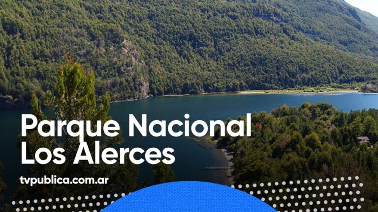 Actividades Imperdibles para Turistas en el Parque