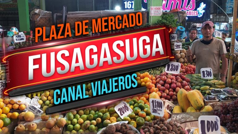 Sabores y Colores de los Mercados Nocturnos en Bogot&aacute;