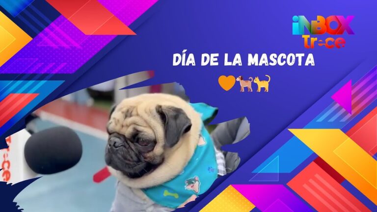 Celebraciones de Mascotas en Bogot&aacute;: Ideas y Consejos