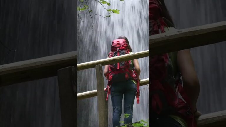 Descubre el Eco-Turismo en Bogot&aacute;: Naturaleza y Sostenibilidad